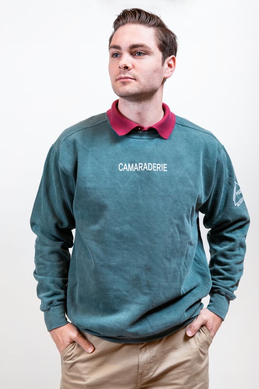 AdvisorEngine grey crewneck - image1